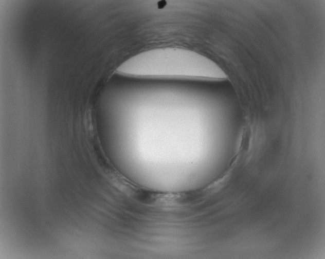 X0000070240182200606020942