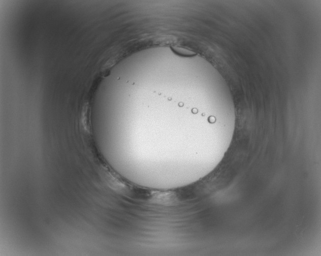 X0000070240185200606020942