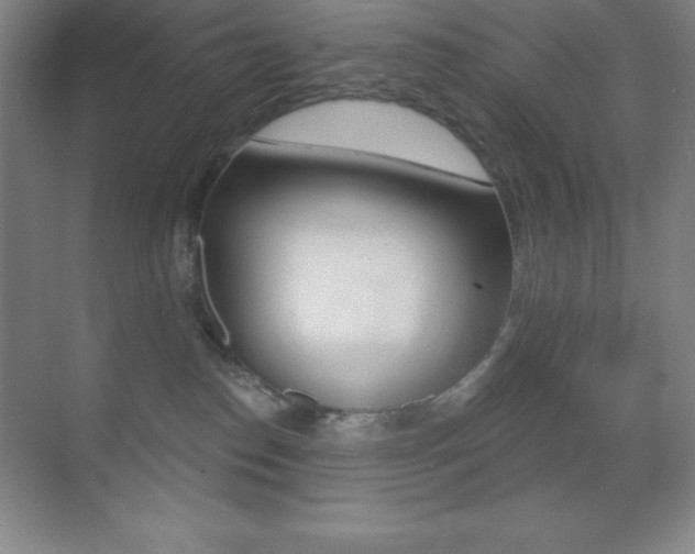 X0000070240186200606020942