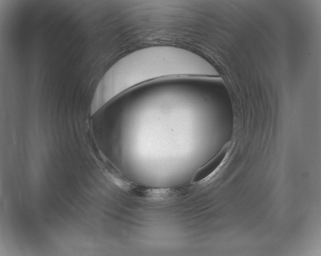 X0000070240192200606020942
