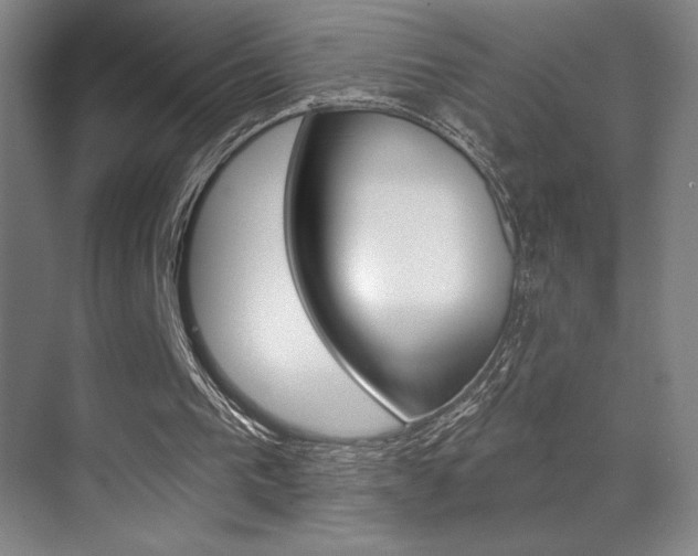 X0000070240193200606020941