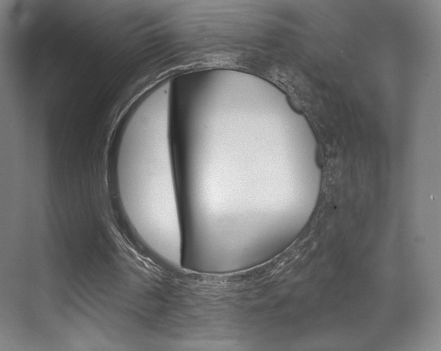 X0000070240194200606020941
