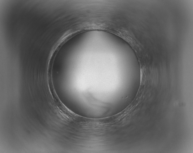 X0000070240195200606020941