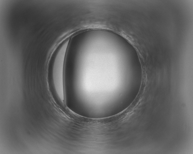X0000070240199200606020941