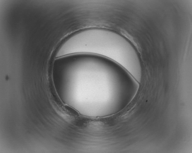 X0000070240203200606020941