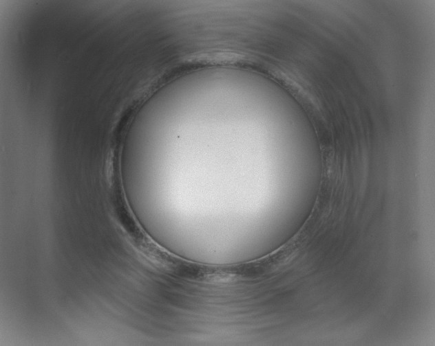 X0000070240206200606020941