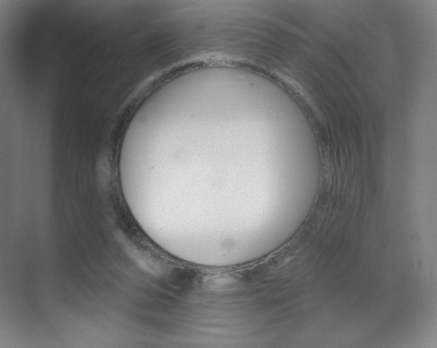 X0000070240208200606020941