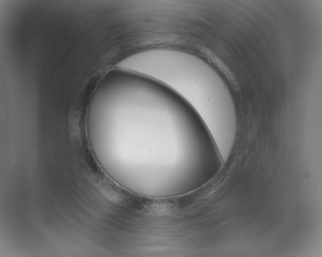 X0000070240209200606020941
