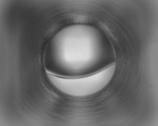 X0000070240211200606020941