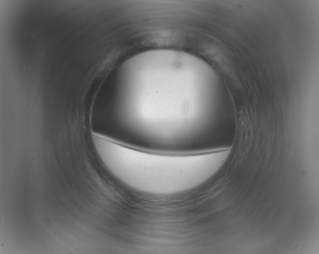 X0000070240212200606020941
