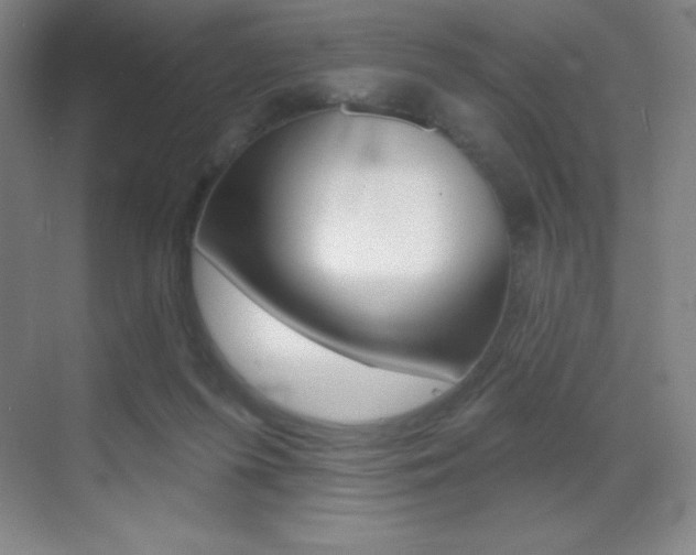 X0000070240215200606020941