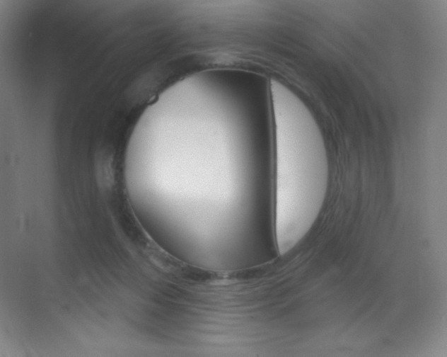 X0000070240216200606020941
