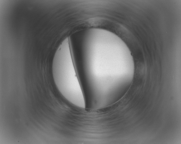 X0000070240220200606020941