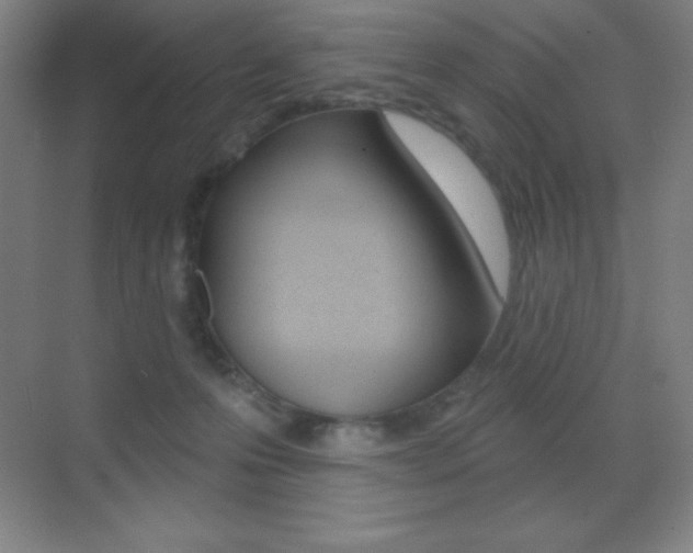 X0000070240223200606020941