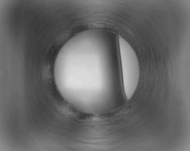 X0000070240224200606020941