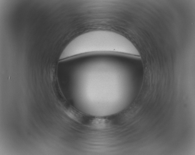 X0000070240227200606020941
