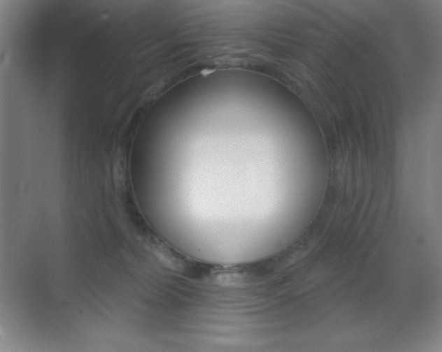X0000070240228200606020941