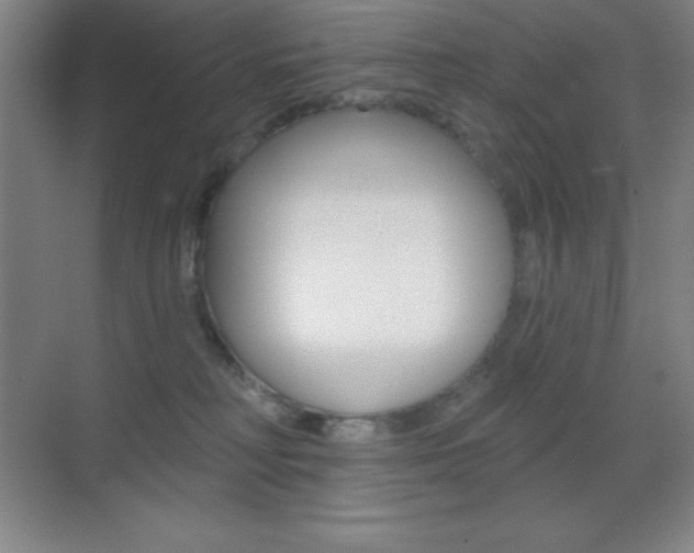 X0000070240230200606020941