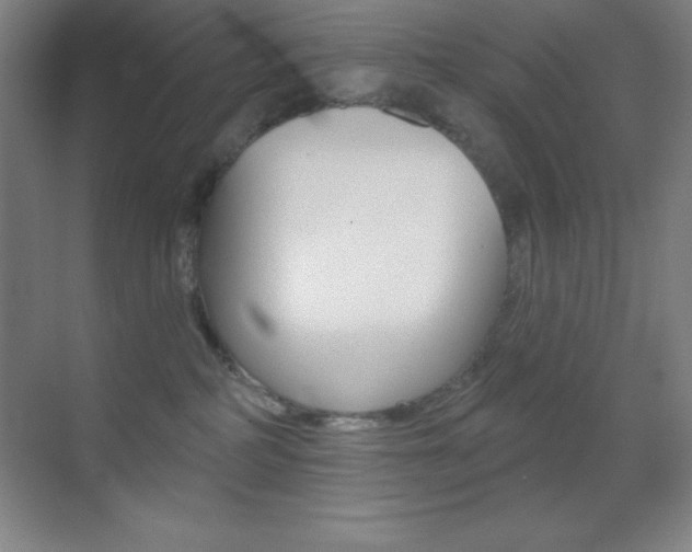 X0000070240234200606020941