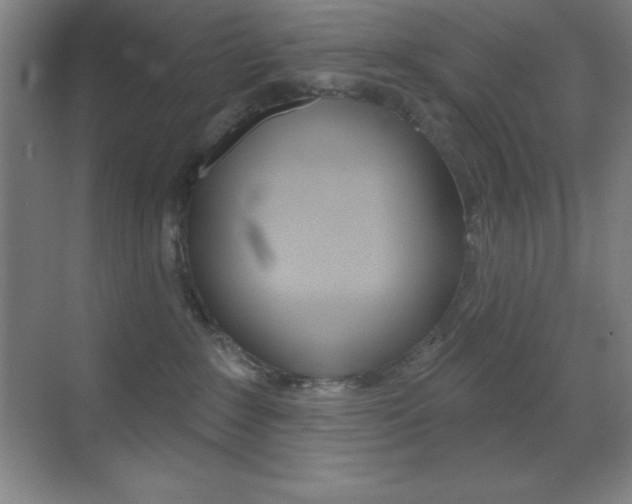 X0000070240235200606020941