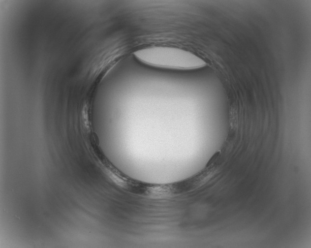 X0000070240238200606020941
