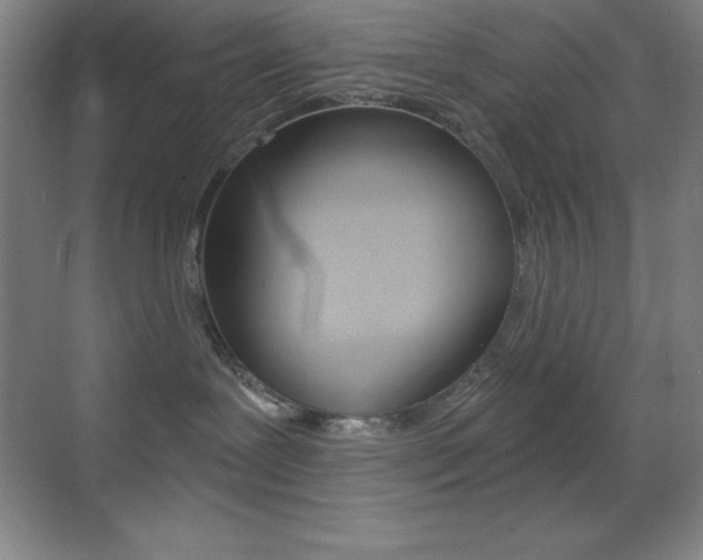 X0000070240239200606020941