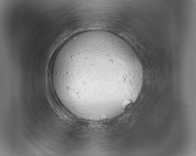X0000070240242200606020940