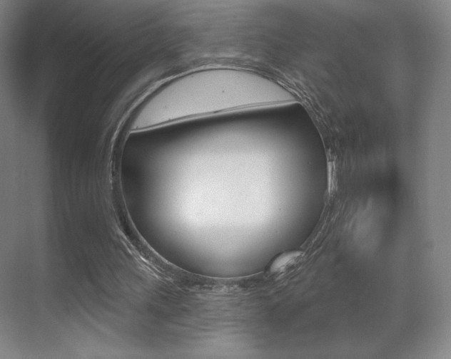 X0000070240243200606020940