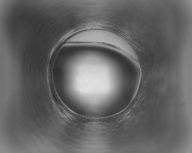 X0000070240244200606020940