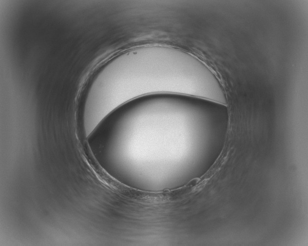 X0000070240245200606020940