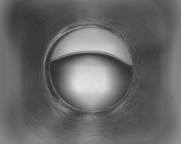 X0000070240246200606020940