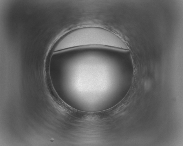 X0000070240248200606020940