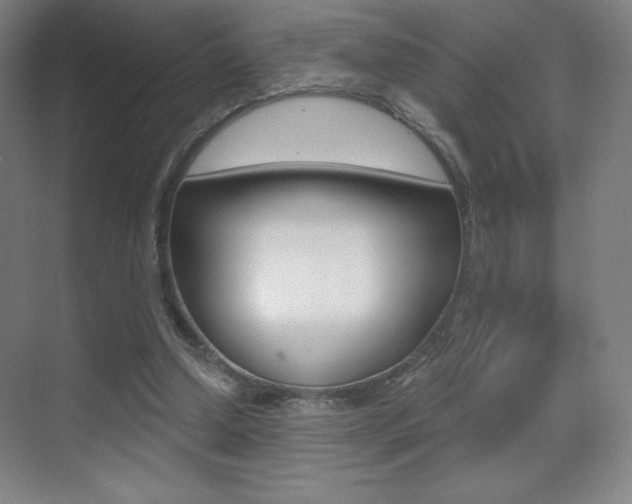 X0000070240250200606020940