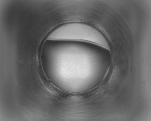 X0000070240251200606020940