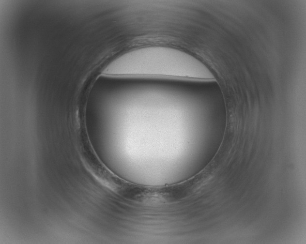 X0000070240254200606020940