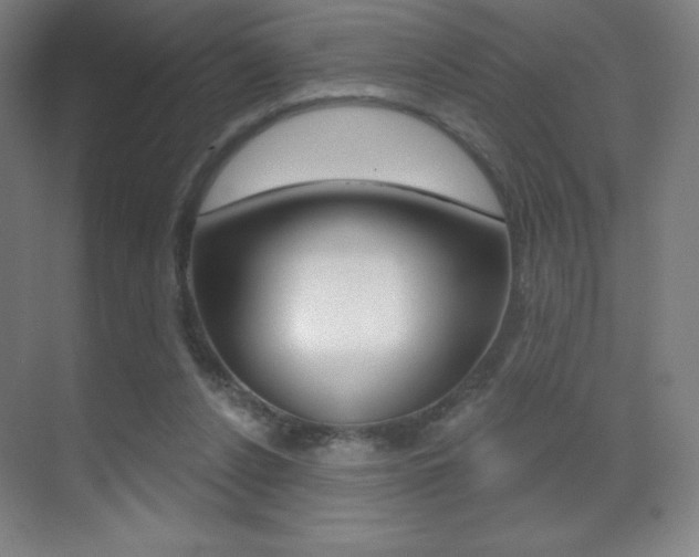 X0000070240256200606020940