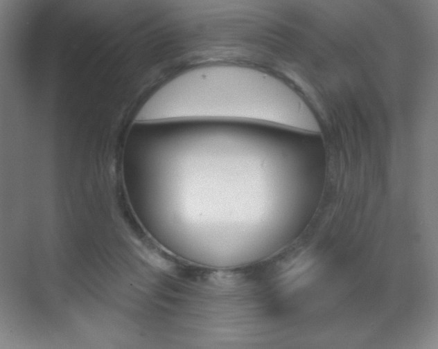 X0000070240261200606020940