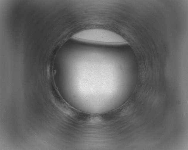 X0000070240262200606020940