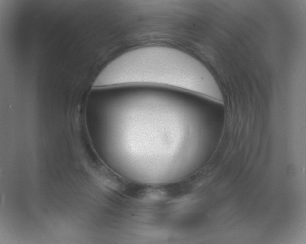 X0000070240263200606020940