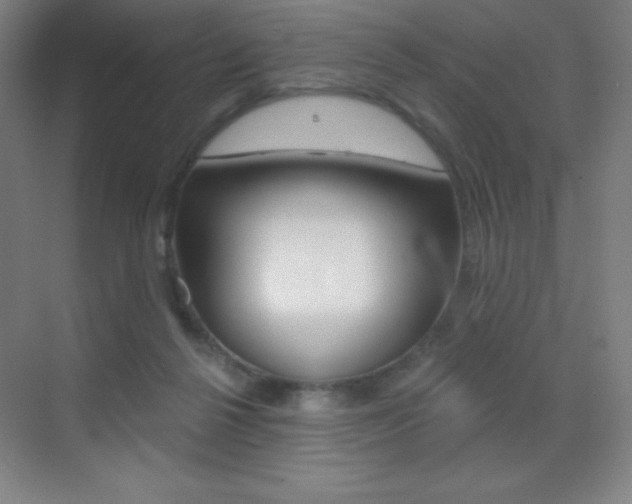 X0000070240264200606020940