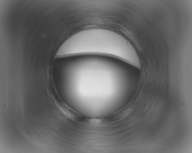 X0000070240265200606020940