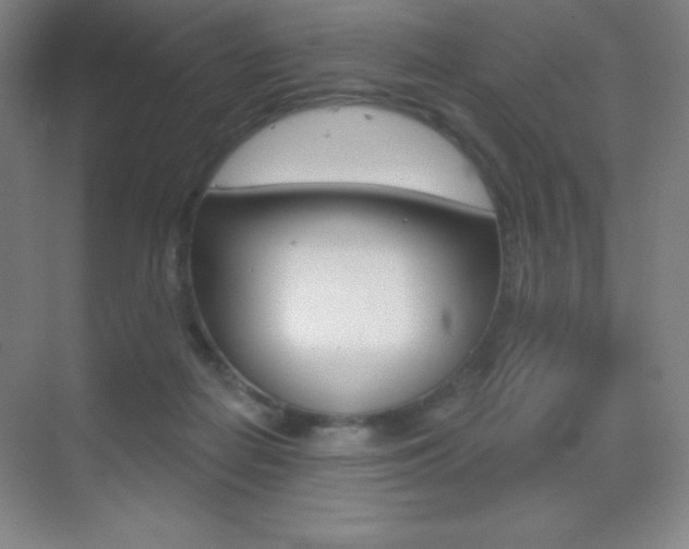 X0000070240266200606020940