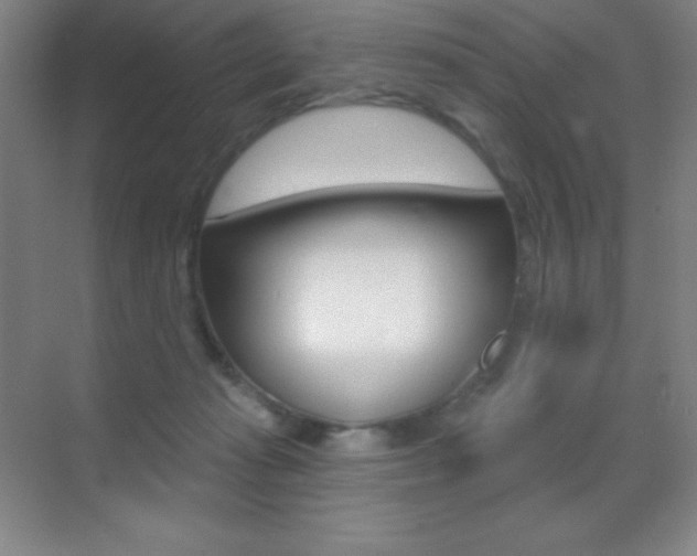 X0000070240269200606020940