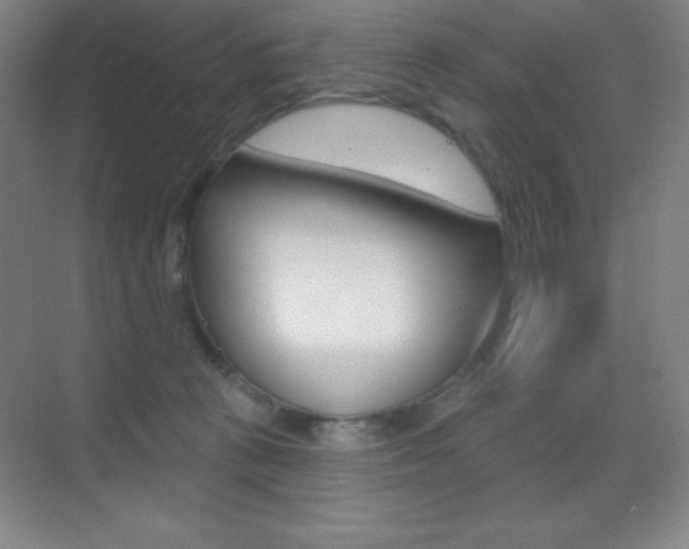 X0000070240273200606020940