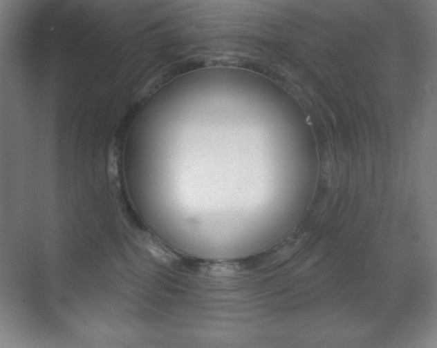 X0000070240282200606020940