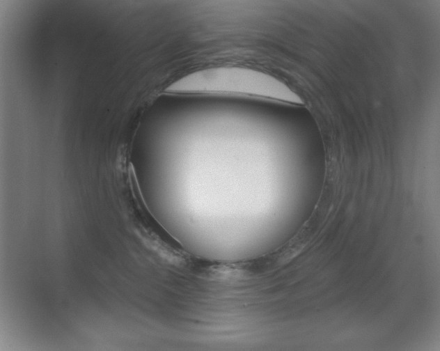 X0000070240284200606020940