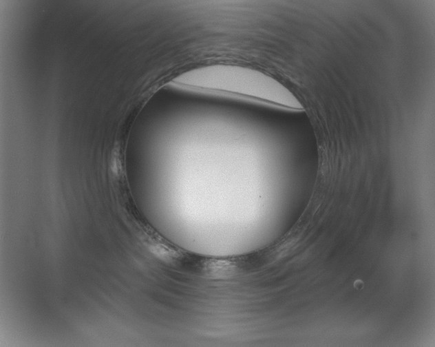 X0000070240287200606020941