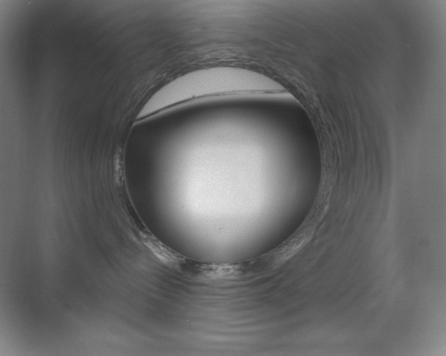 X0000070240288200606020941