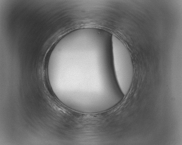 X0000070240290200606020940