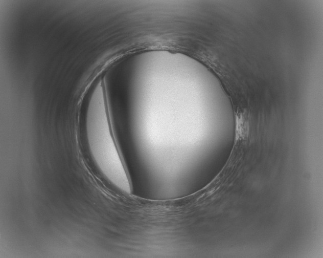 X0000070240291200606020940